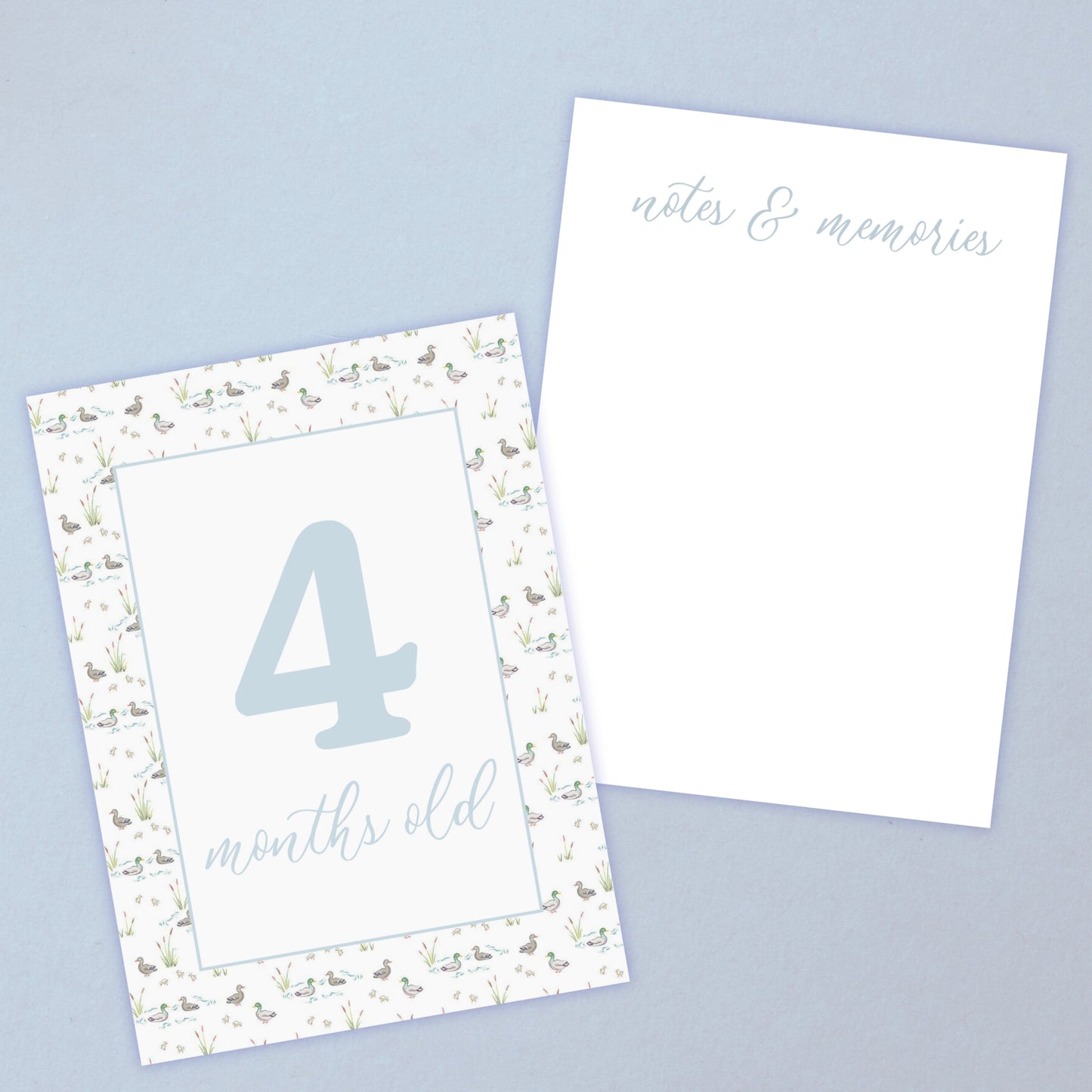 Baby's First Year - Milestone Cards